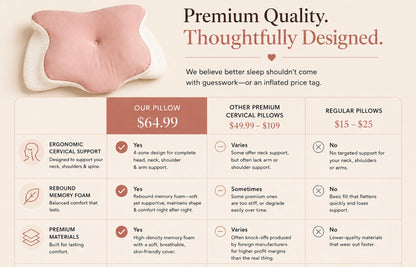 Beauty Buddy Pillow